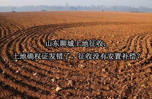 山东聊城土地征收：土地确权证发错了，征收没有安置补偿？